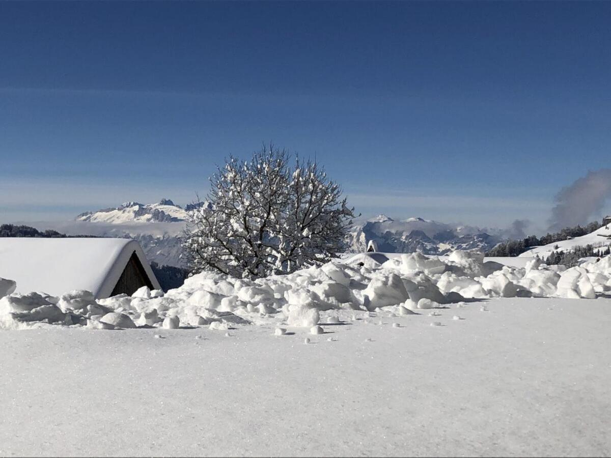 Walli Laterns - Ski Und Bergvergnuegen Direkt Vor Der Haustuer Luaran gambar