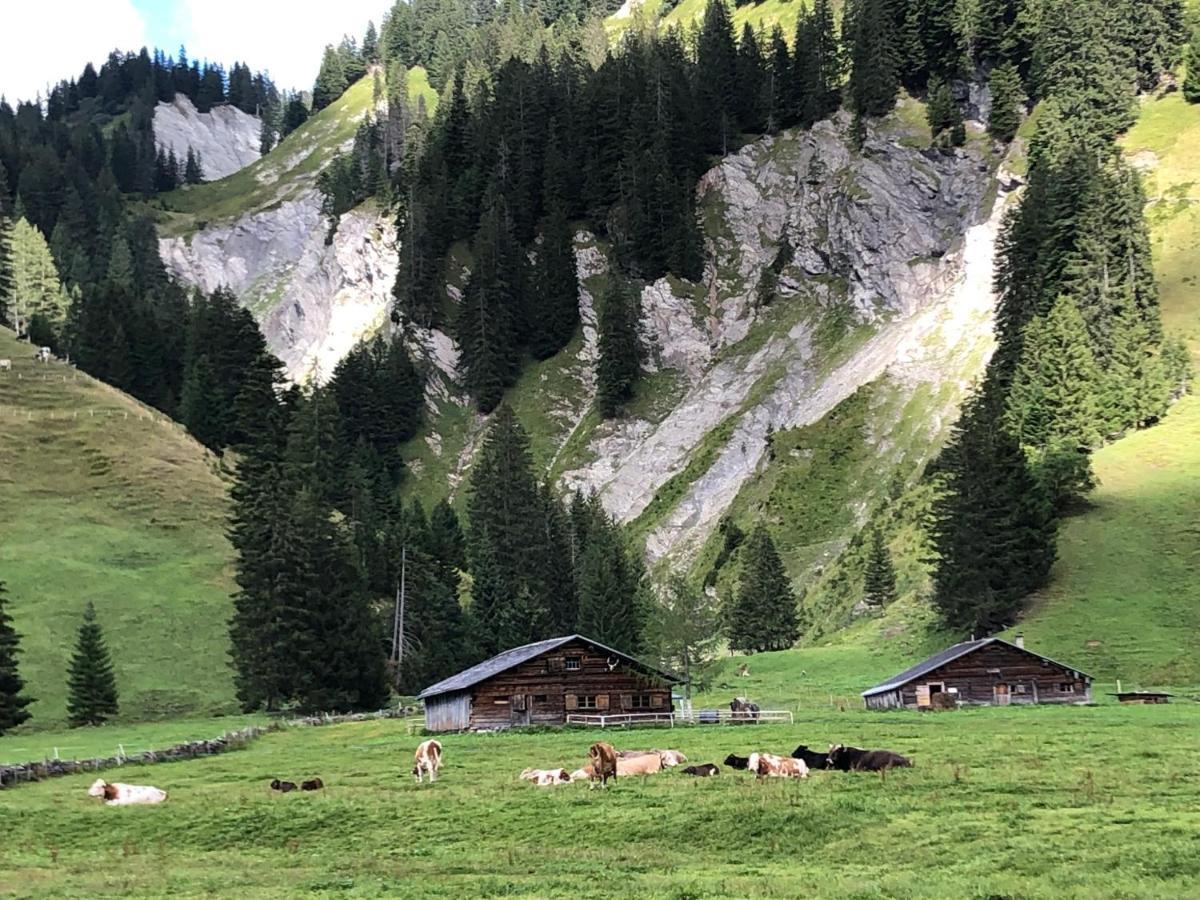 Walli Laterns - Ski Und Bergvergnuegen Direkt Vor Der Haustuer Luaran gambar